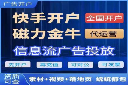 谷歌SEM与移动端优化：某APP的推广策略及效果